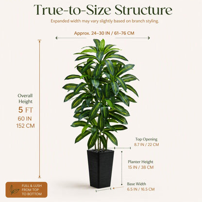 TNGGNT Artificial Dracaena Tree: 5FT Fake Plants Silk Faux Trees（Black Pot）