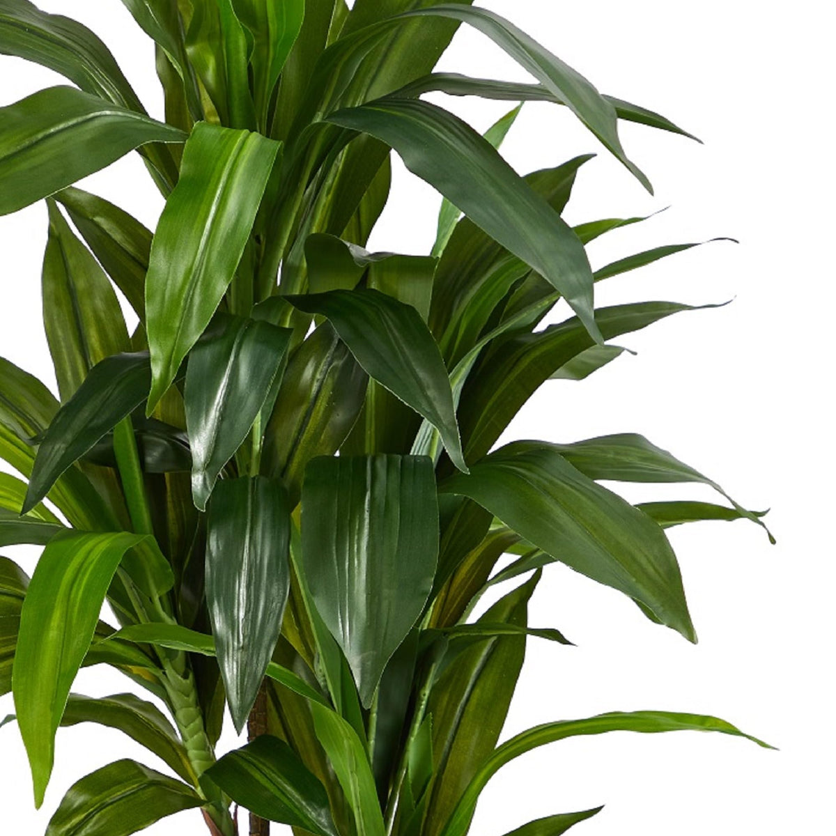 Nearly Natural 48 in Artificial Dracaena Real Touch Plant with Pot